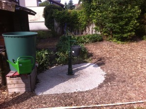 Sommer im Stadtteilgarten